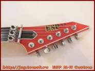 esp_m-ii_custom_10.jpg