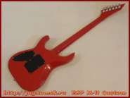 esp_m-ii_custom_11.jpg