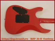 esp_m-ii_custom_12.jpg