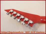esp_m-ii_custom_17.jpg