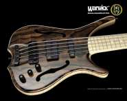 Official Warwick Wallpaper - 10.jpg