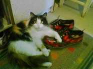 050425_143608_�������� ������.jpg