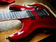 ESP-4.jpg