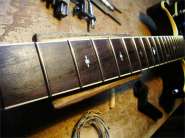 F.Robben Ford_83-27.jpg