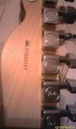 ������ telecaster (8).jpg