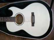 1_WASHBURN_EA20.jpg