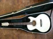 2_WASHBURN_EA20.jpg