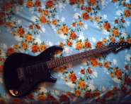 IMAGE_00108-low.jpg