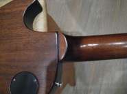 IMG_6269.jpg