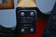 esp strat custom 4.jpg