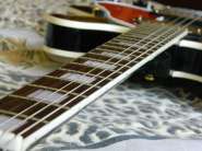 DSCN1776.jpg