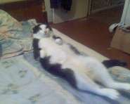 ��� ������..jpg