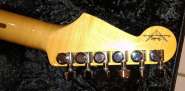 FenderCS3.jpg