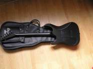 jacksonsl1MetallicGunback.jpg