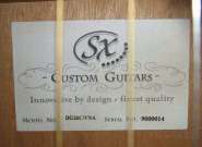 Мини-обзор SX DG26C acoustic 243797-1