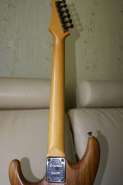 DSC05408.jpg