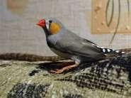 DSC06201.jpg