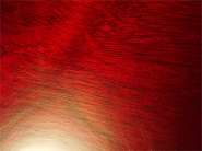 Gibson SG St70-19.jpg