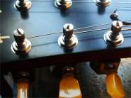 gibson SG Sp-Tronical-2.jpg