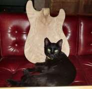 ���������� ���.jpg