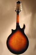 Rigel CT1_back.jpg
