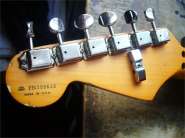 F.trat FlRouse Cl-5.jpg