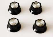 Rickenbacker Guitar knobs web.jpg