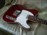 2_ED_TELE.JPG