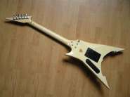 Zep Custom Flying A back.jpg