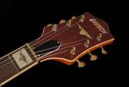 gretsch_chet_atkins_g6120dsw_9.jpg