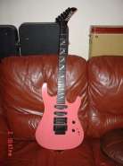 Hamer chap set neck 1.jpg