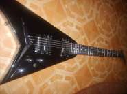 S5004565.jpg