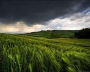 Fields_2.jpg.1280x1024_1.JPG