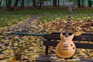 Gibson Les Paul DC Goldtop Limited Edition (ПРОДАНО) 1075145-0