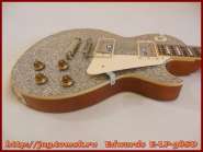 edwards_e-lp-98sd_3.jpg