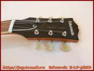 edwards_e-lp-98sd_7.jpg