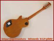 edwards_e-lp-98sd_8.jpg