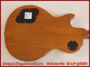 edwards_e-lp-98sd_9.jpg
