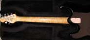 Music Man Steve Morse Y2D 013.jpg