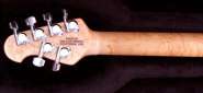 Music Man Steve Morse Y2D 009.jpg