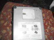 bad horsie's ass.JPG