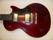 gibson86casebrigge012.jpg
