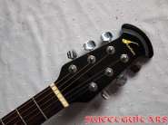 ovation 3.jpg
