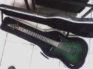 carvin 3.jpg