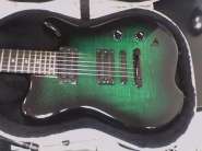 carvin 1.jpg