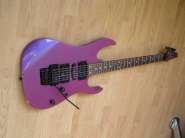 ����� rg570chameleon.jpg