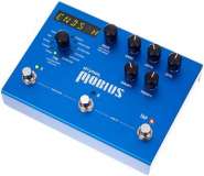 Strymon mobius.jpg