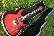 Продается в Москве Carvin DC200 USA(33 000 p.) 198693-0