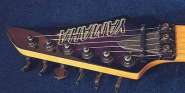 003-Yamaha RGX-521.jpg