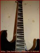 edmr_1024x768_4.jpg